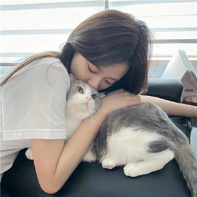 情越双白线粤语